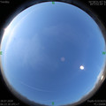 1595028231.jpg