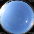 1595028996.jpg