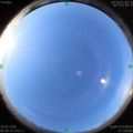 1595029761.jpg