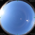 1595030917.jpg