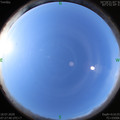 1595032073.jpg