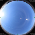 1595032838.jpg