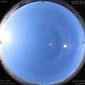 1595033603.jpg