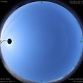 1595036665.jpg