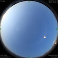 1595114328.jpg
