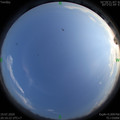 1595164243.jpg