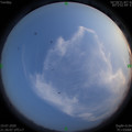 1595168775.jpg